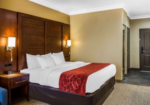 Comfort Suites San Jose Airport in San Jose