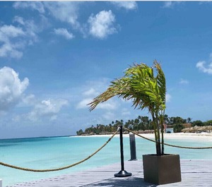 Aruba Breeze 