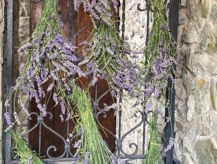 Cameri Bed & Breakfast | B&B Villa Noemi