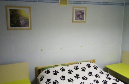 Danilovsky District Hostel | Len Inn Lux Hostel