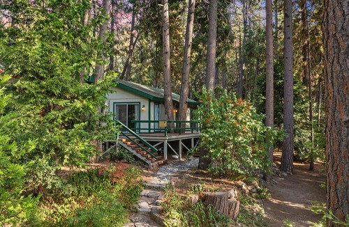 Idyllwild Cabin | Secluded Cozy Cottage: Walk to Town, Private