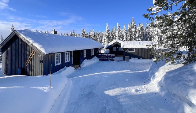 3 bedroom awesome home in Sjusjøen in Sjusjøen
