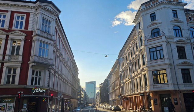 4BR in oldtown, just steps from opera, Munch, beaches, cafes, shops & local eats in Oslo