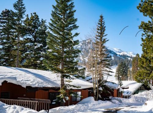 Canyon Lodge properties by 101 Great Escapes in Mammoth Lakes
