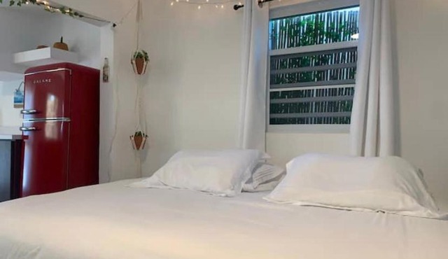 Casa mango in Islote