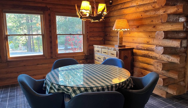 Classic Modern Walk Town Log Cabin in Idyllwild-Pine Cove