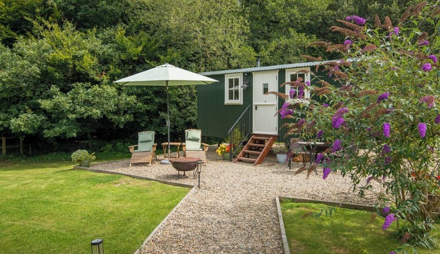 COLLEN, pet friendly, with open fire in Aberaeron in Llanarth