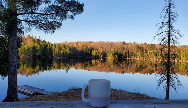 Cozy Cabin w/2000ft waterfront, 100+ acres to explore in Commanda