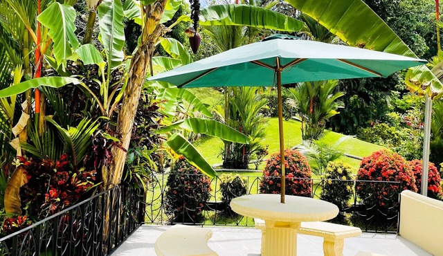 Dreams of love a place full of wonders and peace. in Manuel Antonio