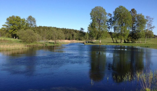 Flähult Ullared in Ullared