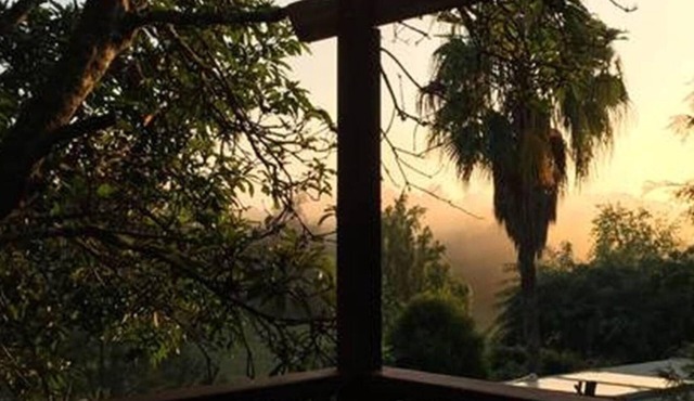 Fully detached, centrally located, quite, private, open plan cabin in Bellingen