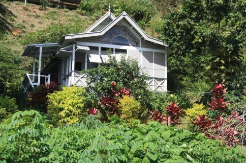 Gingerbread Cottage and Studio Fiji in Savusavu
