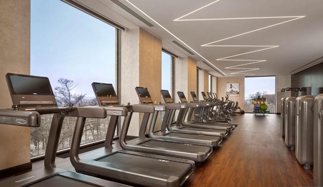 Hyatt Regency Moscow Petrovsky Park in Moscow