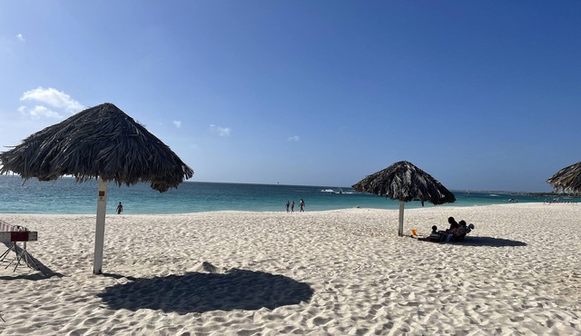Luxurious Beachfront 2-Bedroom/2 Bath Condo - Eagle Beach in Oranjestad