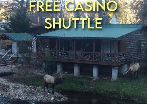 Qualla Cabins and Motel Cherokee near Casino in Whittier