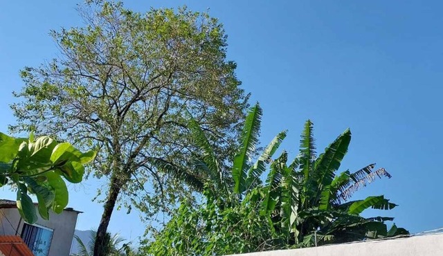 Quarto Para Grupo até 4 Pessoas Praia da Maranduba Ubatuba Sp in Sertão da Quina Ubatuba