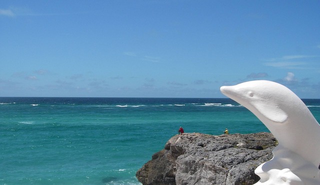 Romantic Oceanfront Villa near Crane Resort Lovebirds Special in Bel Air