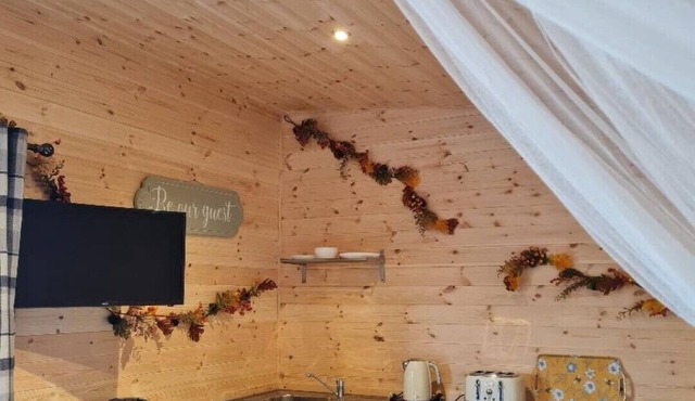 Rustic Cabin in Argoed