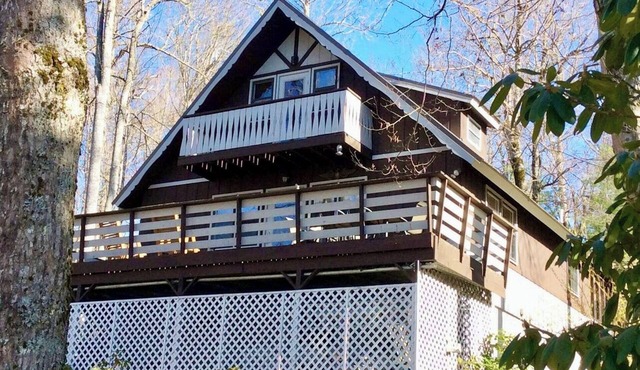 Rustic, cozy chalet close to fishing & hiking - Dog Friendly in Newland