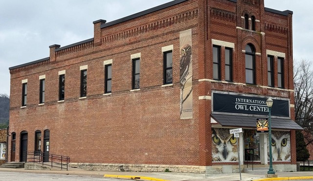 Spacious 2-bedroom loft above the International Owl Center in Houston, MN in Houston