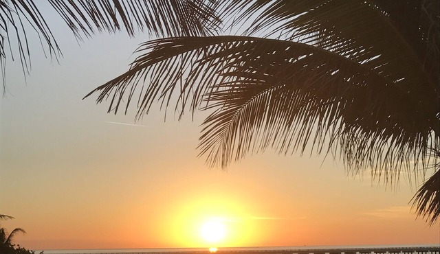 💖 SPECTACULARLY DECORATED OCEAN FRONT CONDO! NOV - DEC SPECIALS 💖 in Bimini