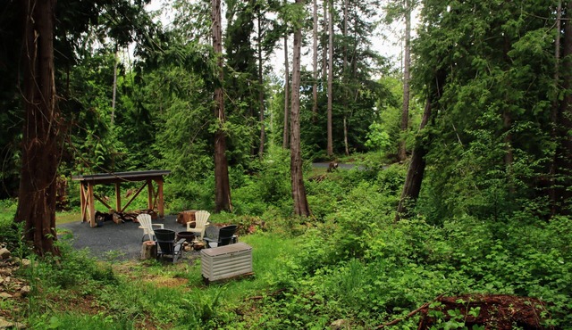 Steps from the Beach Off-grid Creekside Campsite in Powell River
