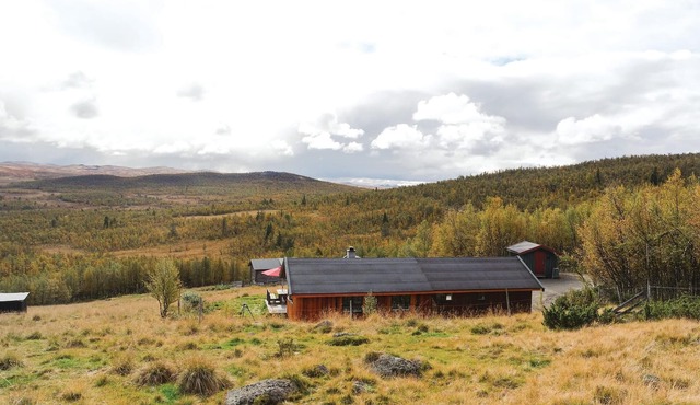 Tallåsen Dagalifjell in Uvdal