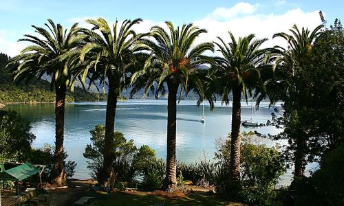 Te Mahia Bay Resort in Kenepuru Sounds