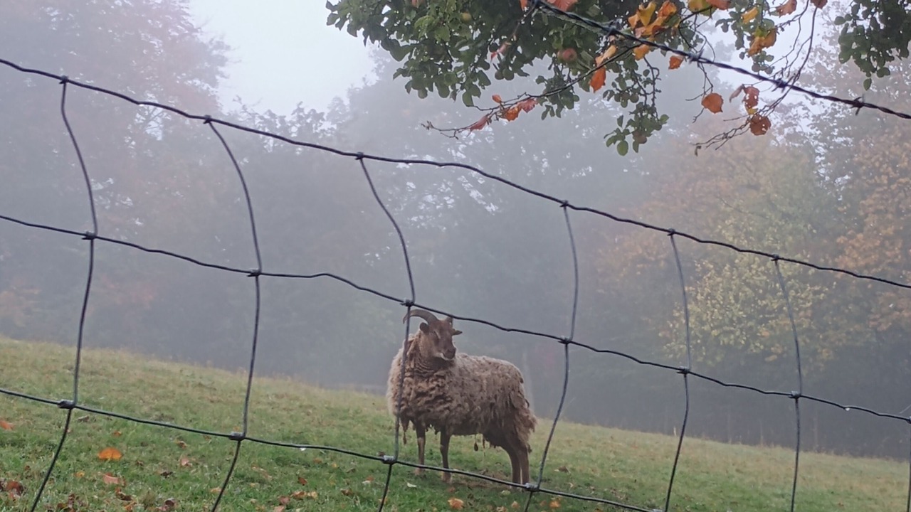 Photo of Others in Blaisdon