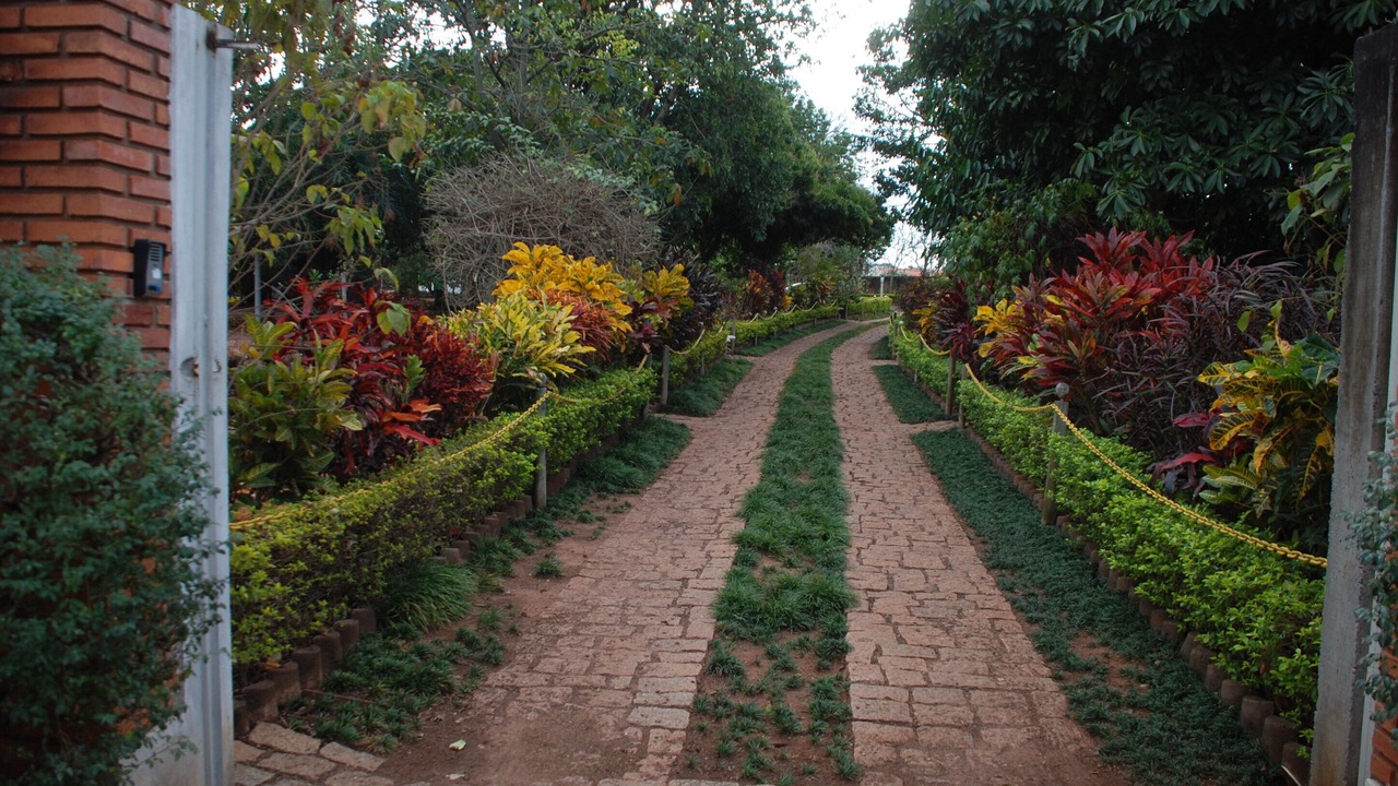 Photo of Outdoor in Brotas