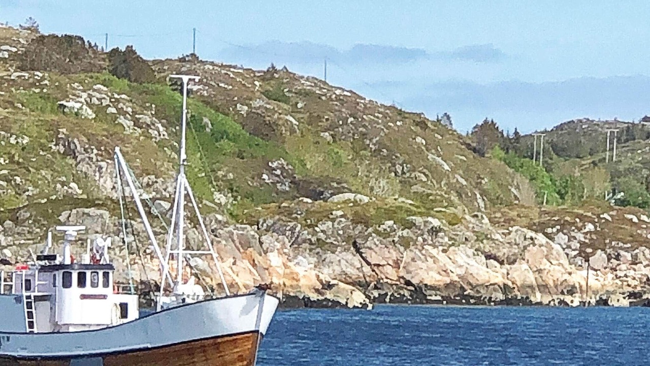 Photo of Others in Dyrvik