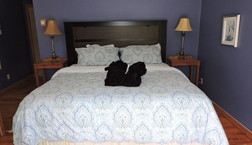 Double Room, 1 King Bed, Jetted Tub, River View
