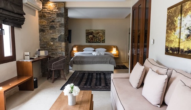 12 Months Luxury Resort in Zagora-Mouresi